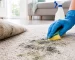How to Get Rid of Mould Out of Carpet Flooring