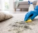 How to Get Rid of Mould Out of Carpet Flooring